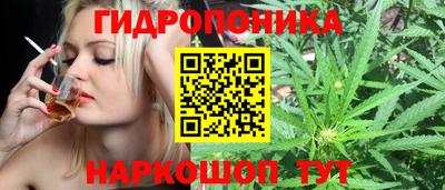 дмт Бузулук